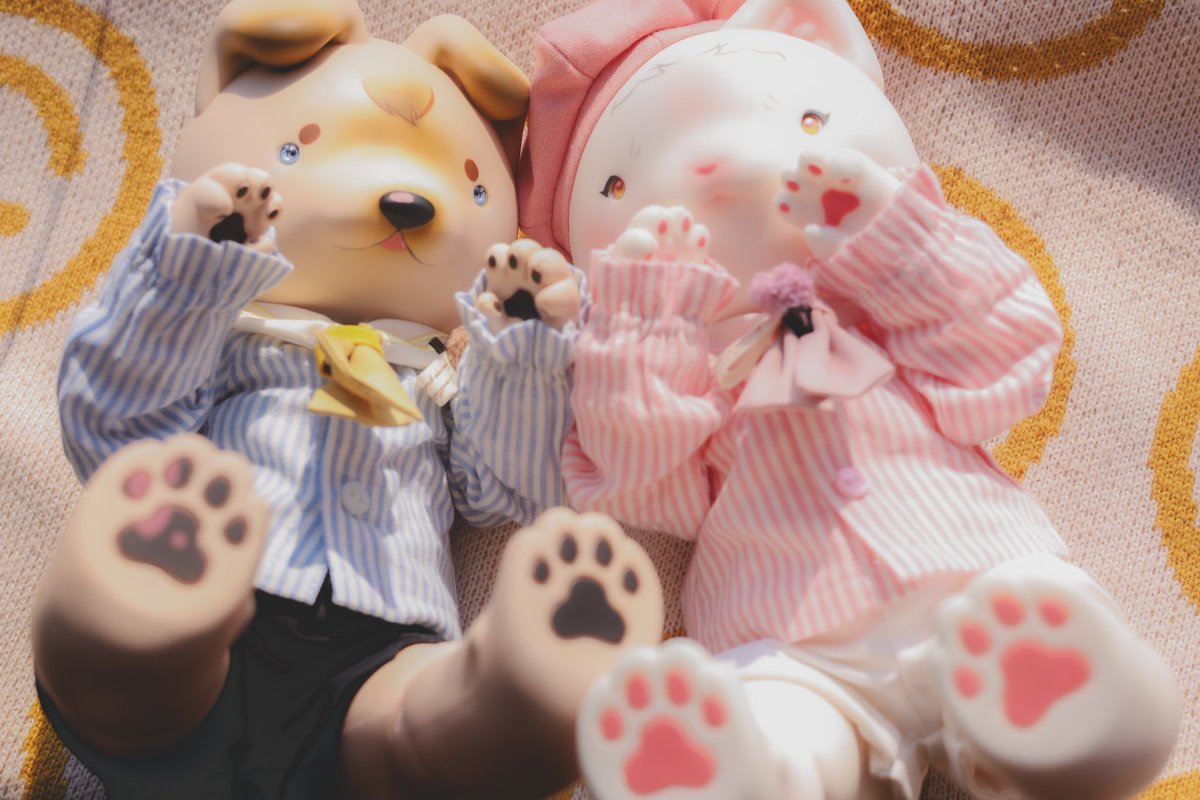 축생 밀렵꾼 tweet media