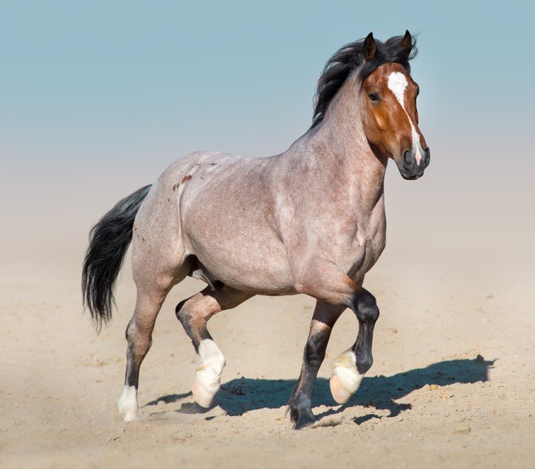 Edmund Johnson tweet media