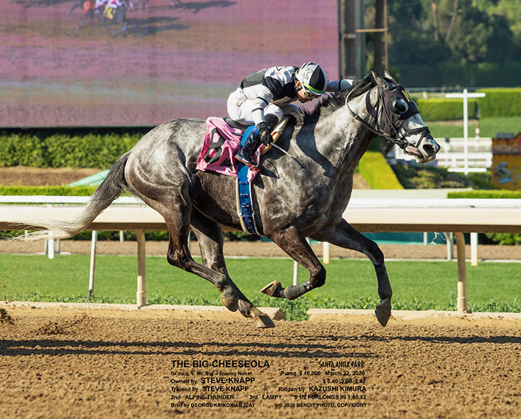 Brian Beach tweet media