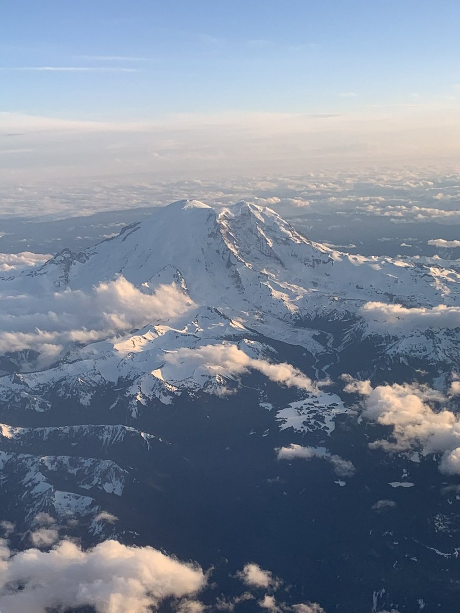 RushBabe49 🇺🇸🐈‍⬛ tweet media