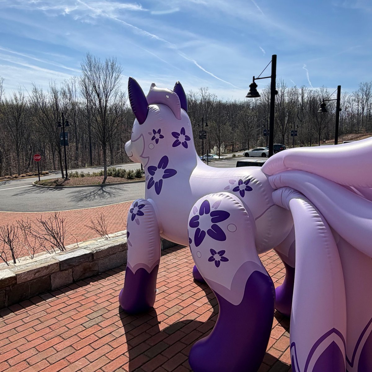 Austin Fox tweet media