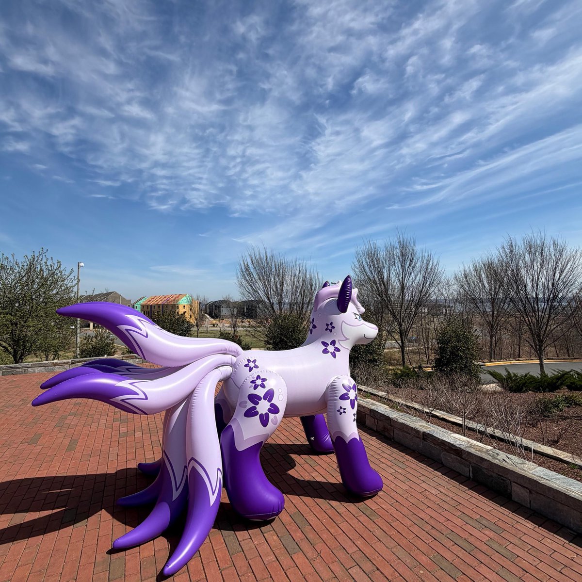 Austin Fox tweet media