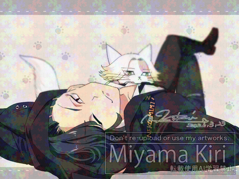 ﾈｺﾊﾟｶ🈁ﾁｬ、ﾈｺﾋﾟｰを添えて