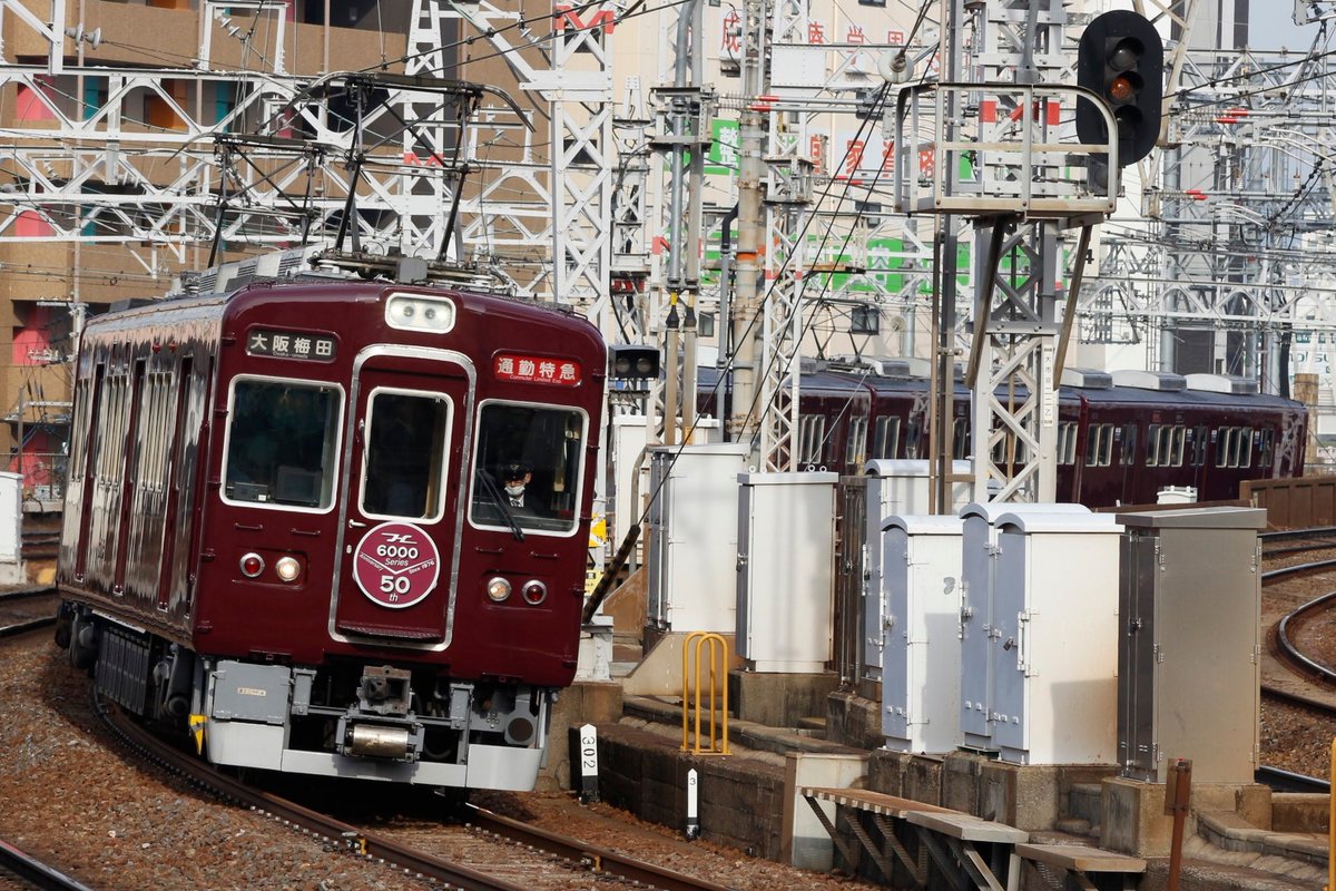 びくはて tweet media