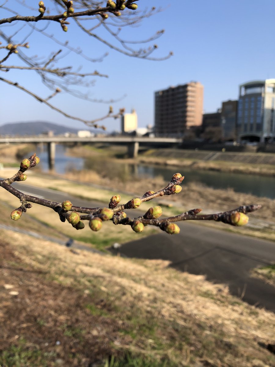 国土交通省　福井河川国道事務所 tweet media