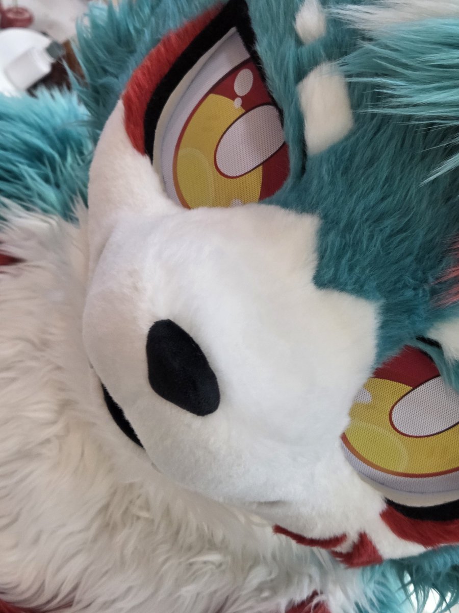 코우가🧪 tweet media