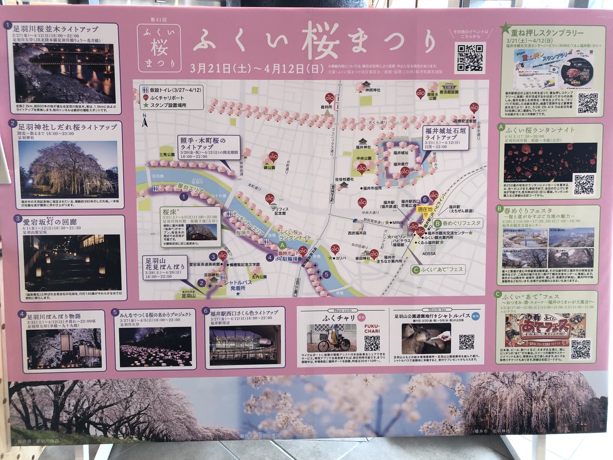 【ふくい桜まつり開催】
いよいよ桜まつりが始まりました。
足羽川の堤防桜にもぼんぼりが設置されました。
桜の開花ももう少し。楽しみです。

＃足羽川　＃ふくい桜まつり　＃桜　＃サクラ
