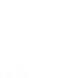 ೇ ⩍ 𝓮cho 𓂂𓏸 . ࣪ tweet media