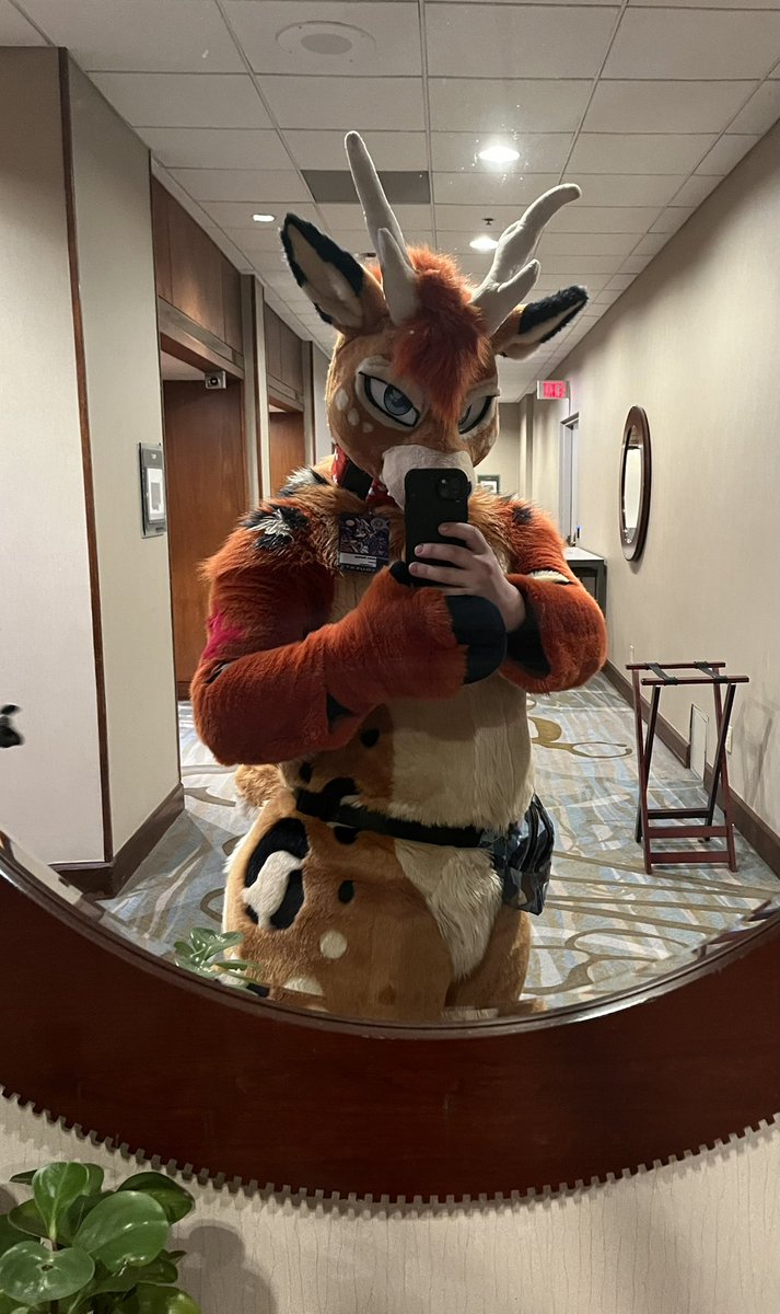 Farley Fella 🍁🔜 FE / FWA / AC / CanFUR / MP tweet media