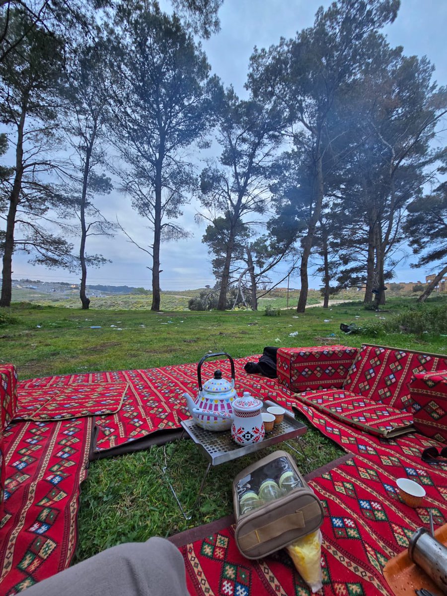 #الجبل_الأخضر_شحات_ليبيا🖼