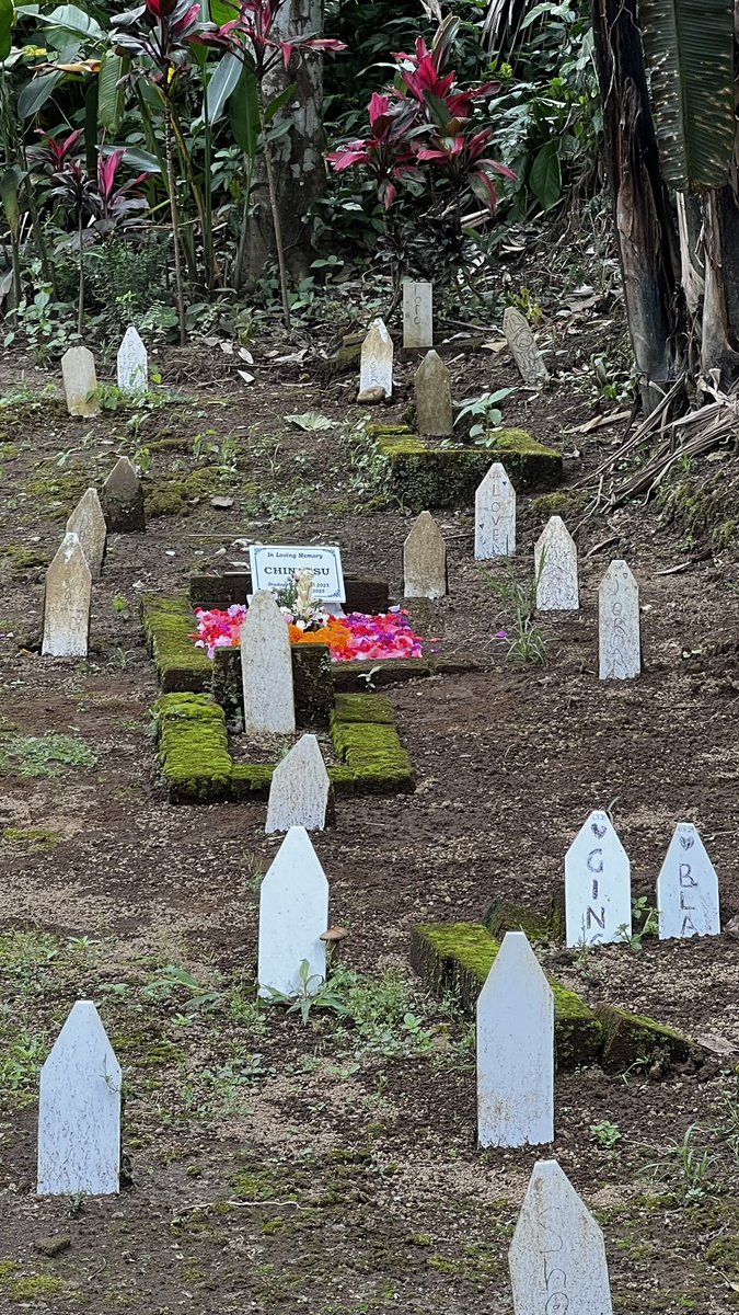 Rin | 🎈#1312 tweet media