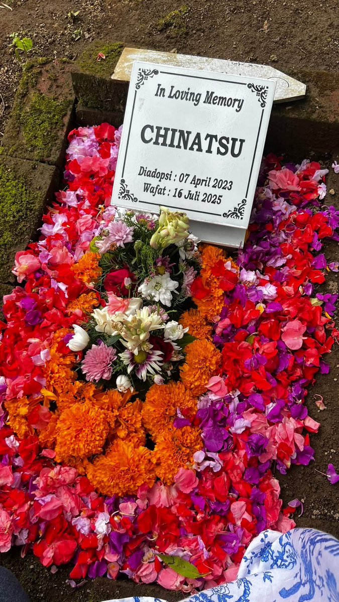 Rin | 🎈#1312 tweet media