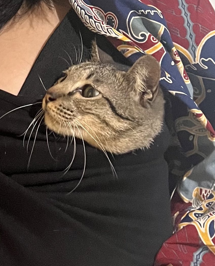 Rin | 🎈#1312 tweet media