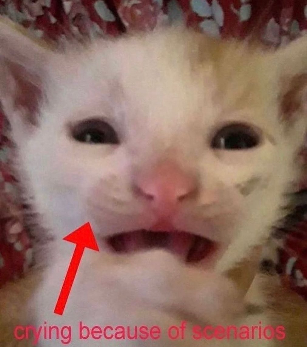 kari ❀ loving skz tweet media