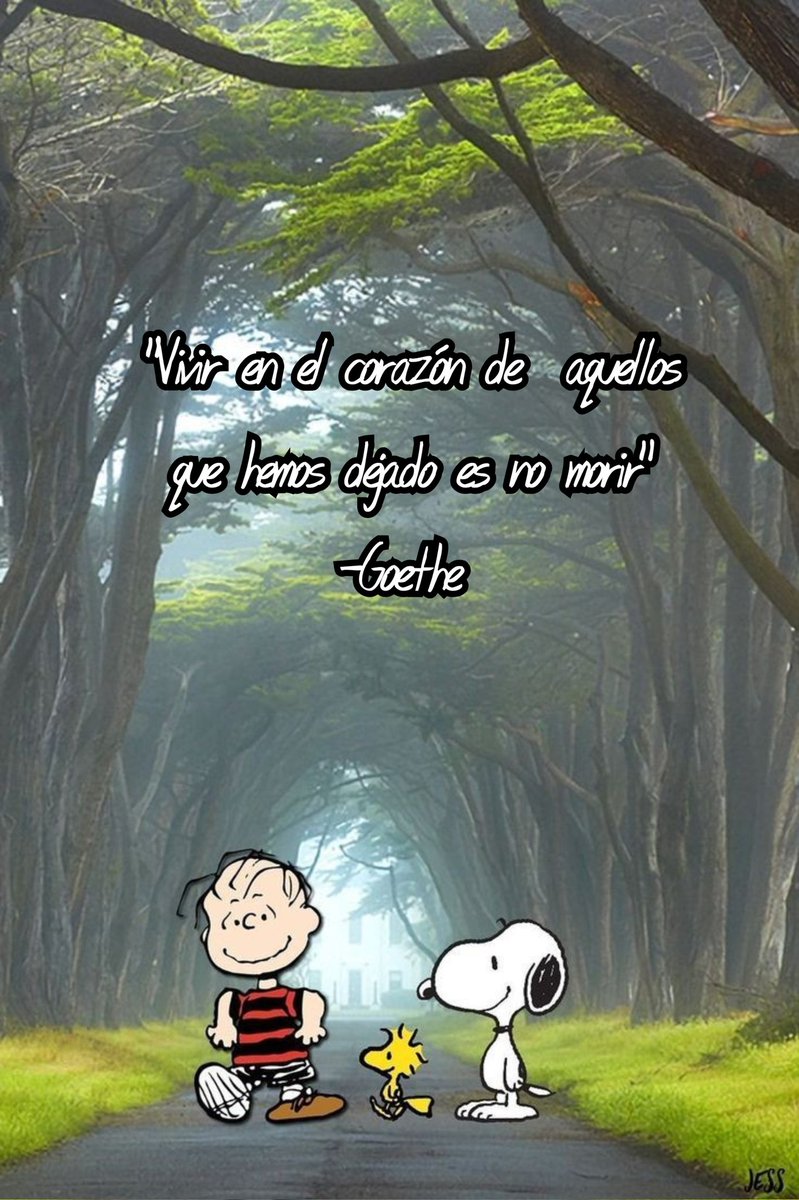 #UnDíaComoHoy #22deMarzo pero de 1832 fallece #JohannWolfangvonGoethe, poeta, novelista, dramaturgo y científico alemán, contribuyente del #Romanticismo, movimiento al que influyó profundamente. Considerado el más importante poeta alemán de todos los tiempos. #Goethe #22Marzo