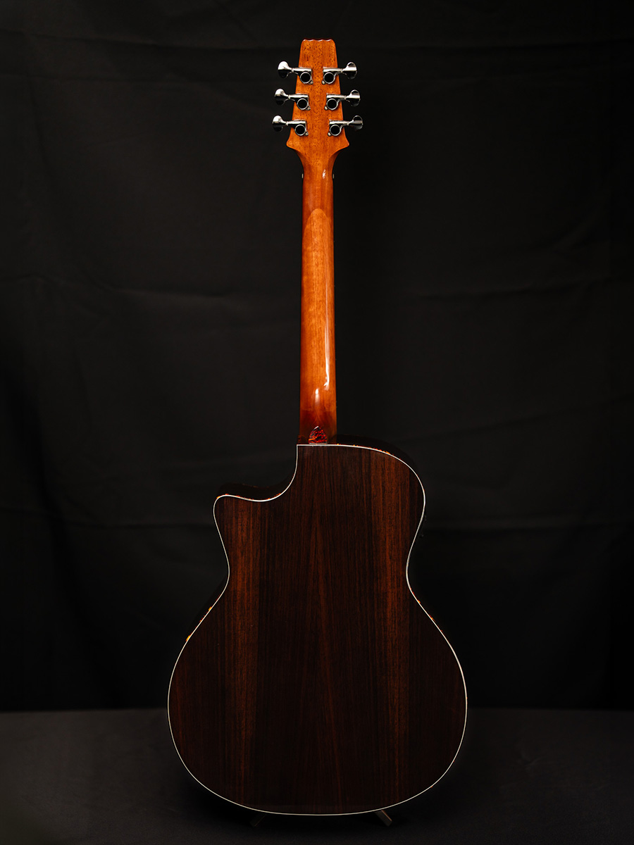 Aria Guitars tweet media