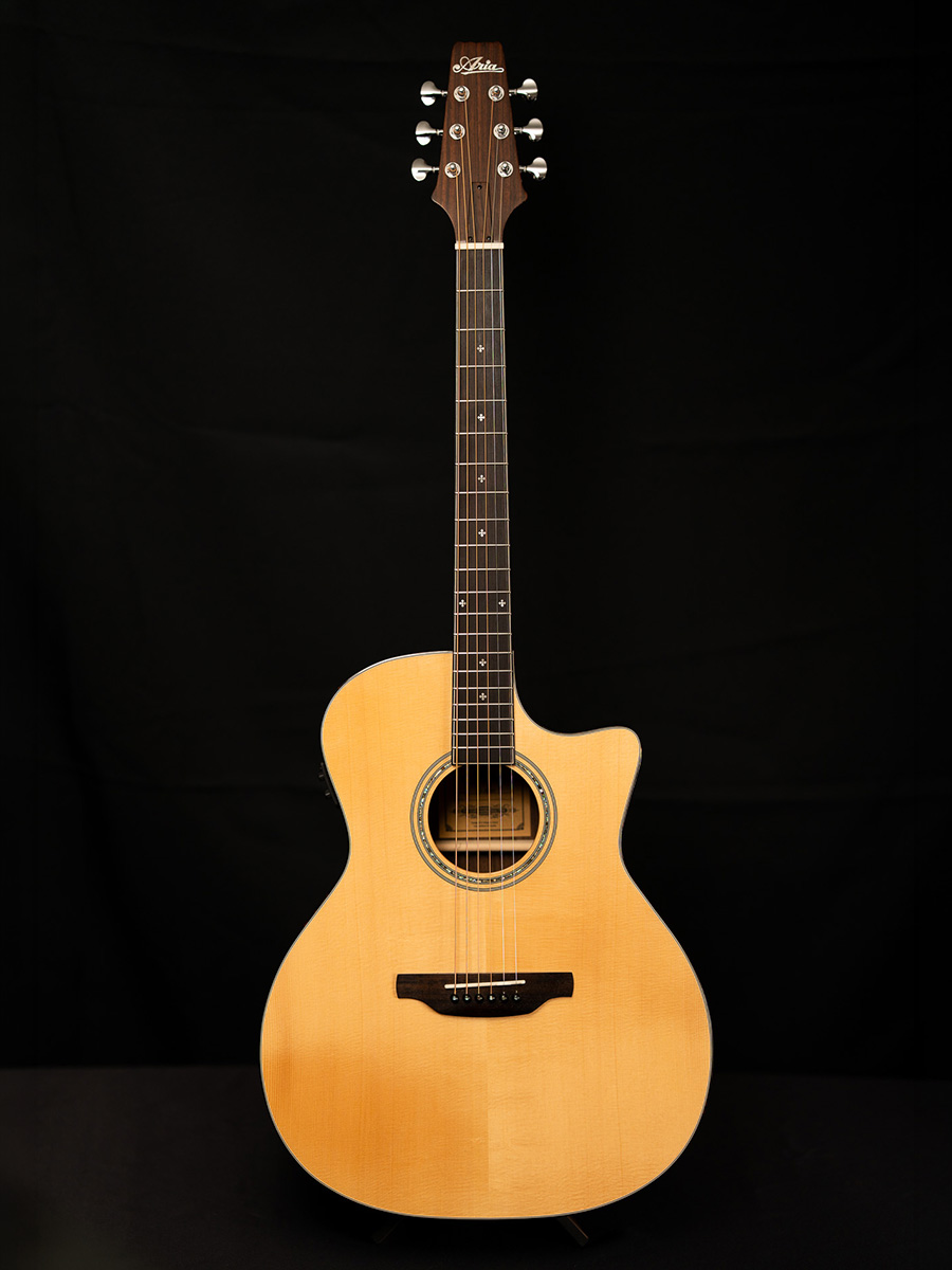 Aria Guitars tweet media