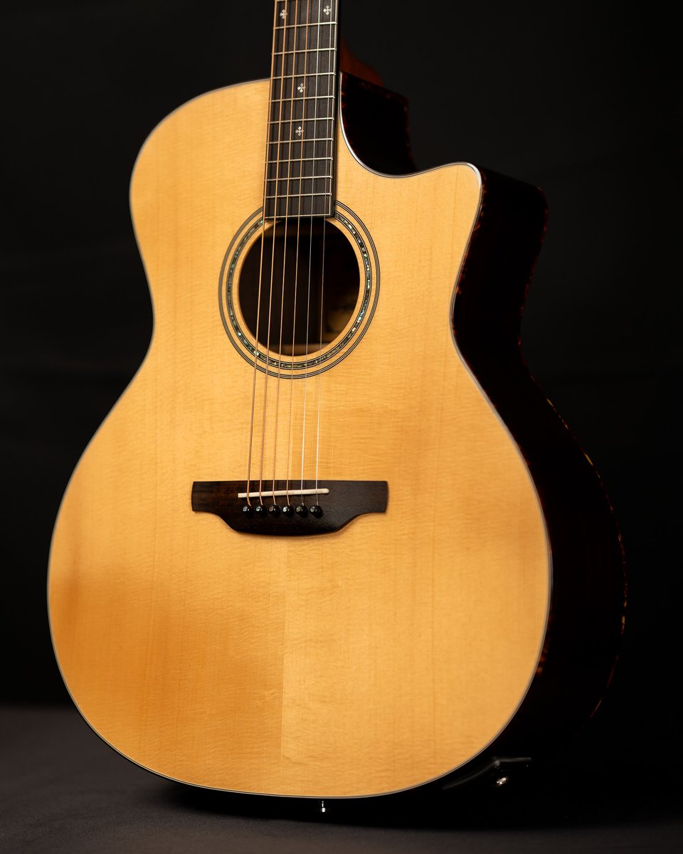 Aria Guitars tweet media