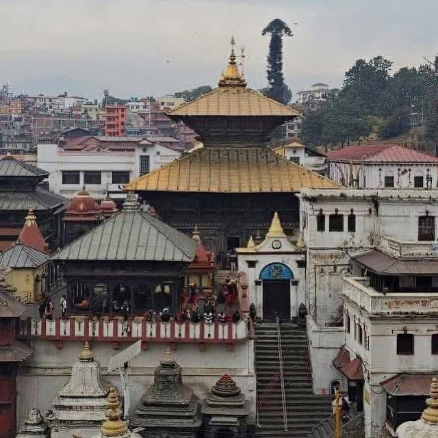 No Next Question tweet media