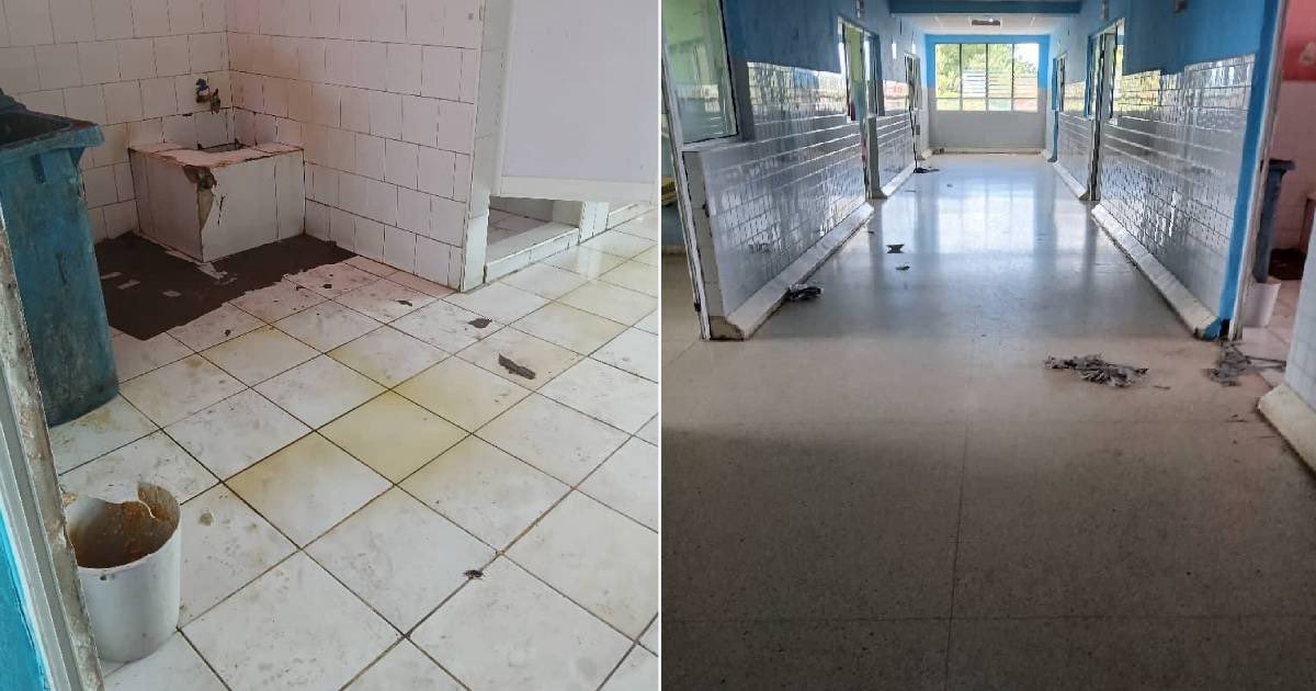 Franklin Andrés Camargo tweet media