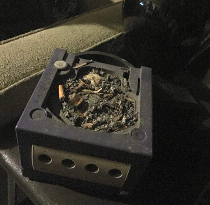 berry🫐 tweet media