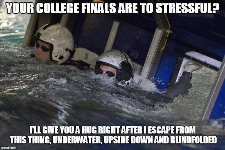 The Dude tweet media