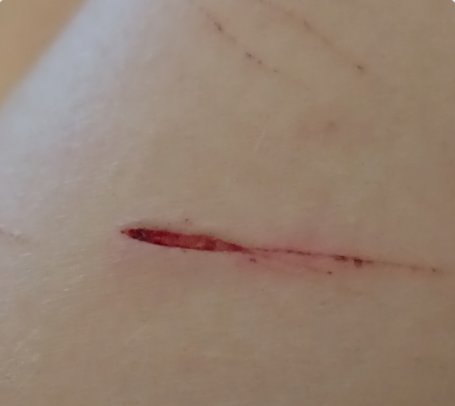 Cat the luxray shedtwt (he/it) tweet media