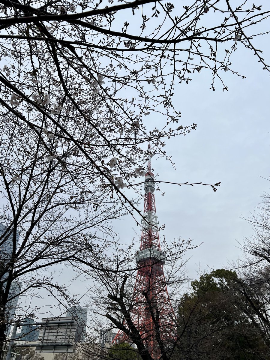 utae_mon's tweet photo. おはようございます🌸
#東京タワーで占います
フットタウン2階圖星さん、まもなく開店です！ https://t.co/RRwnGkRzaW