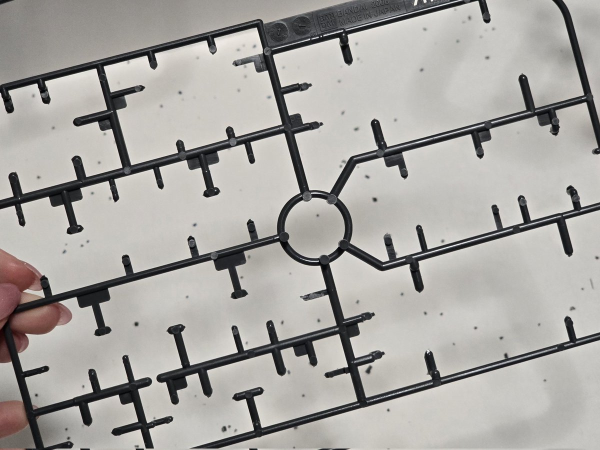 荒井 芽依(リンプラ・BANDAI SPIRITS 公式アンバサダー) tweet media