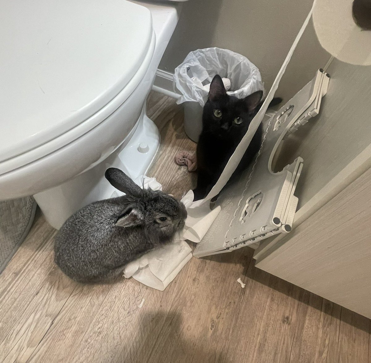 𝓢ᴛᴇᴘʜ 𝓜ᴀƦꞮᴇ 𝕂𝚒𝗗𝗗𝖔💚 tweet media