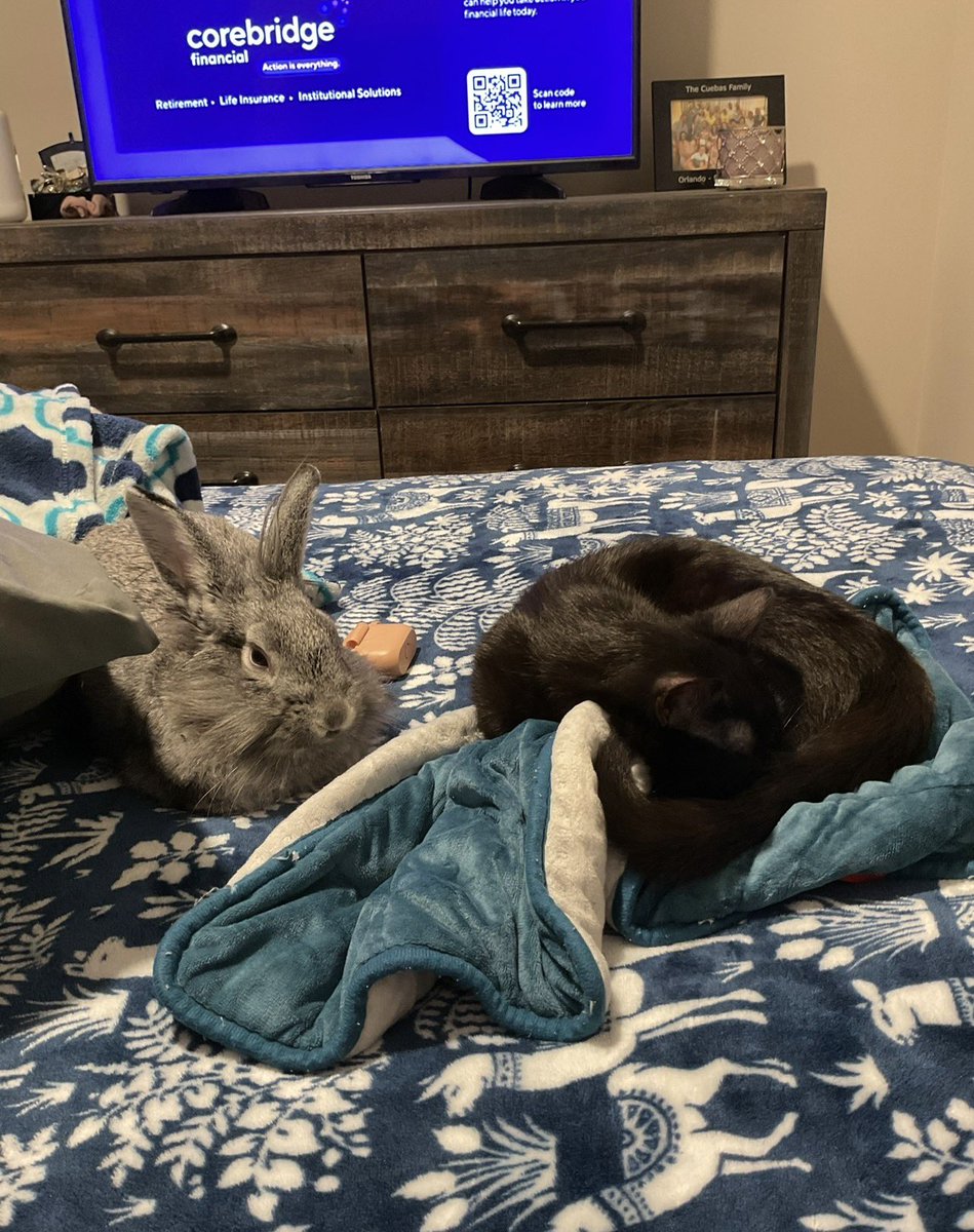 𝓢ᴛᴇᴘʜ 𝓜ᴀƦꞮᴇ 𝕂𝚒𝗗𝗗𝖔💚 tweet media