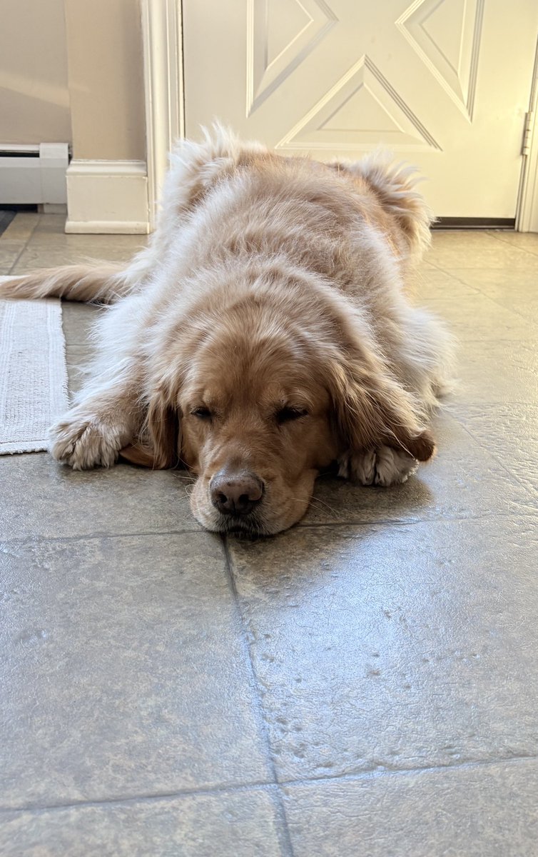 Jeff Hammon tweet media