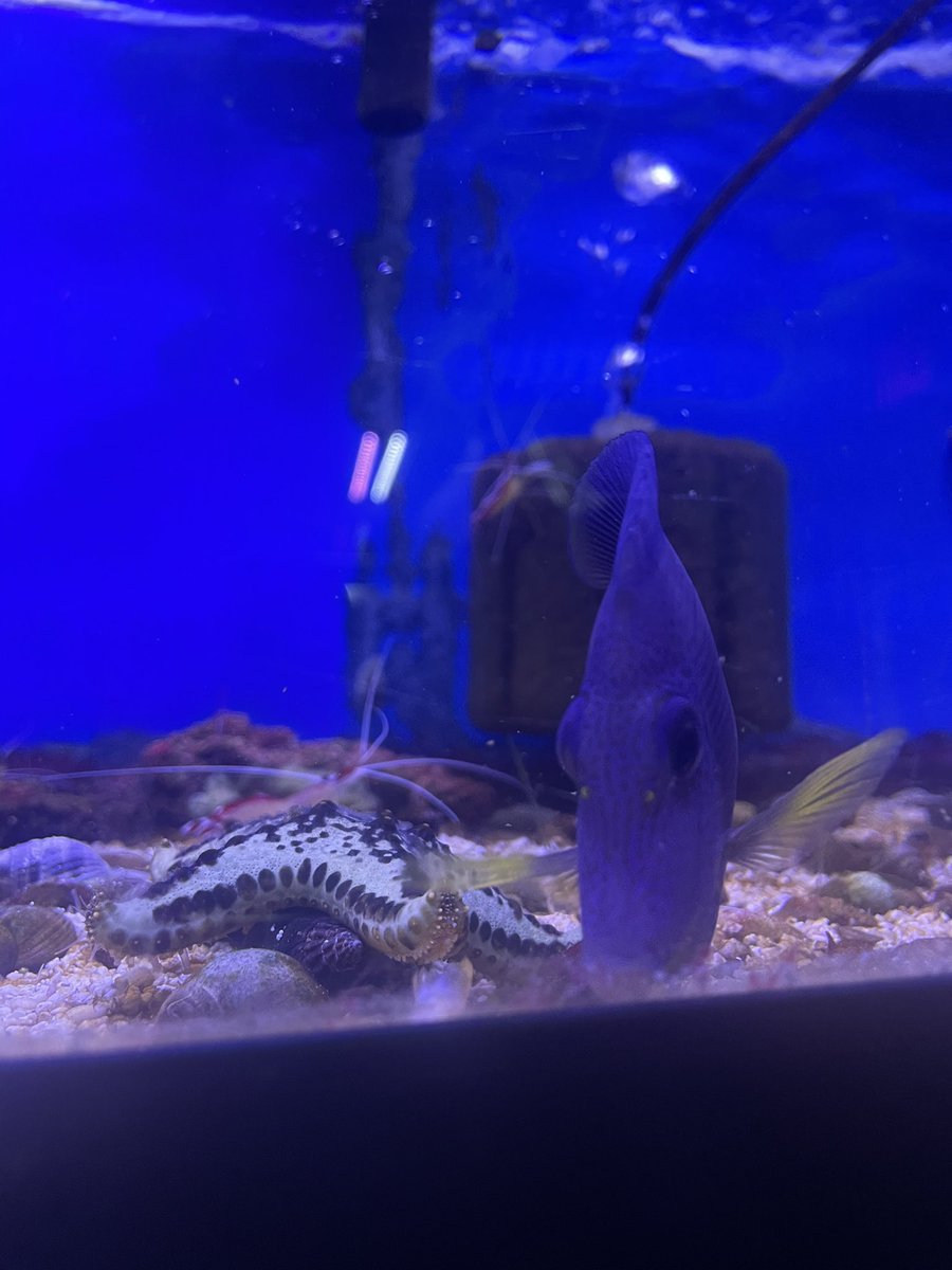 𝖘𝖚𝖒𝖒𝖊𝖗 🥀 tweet media