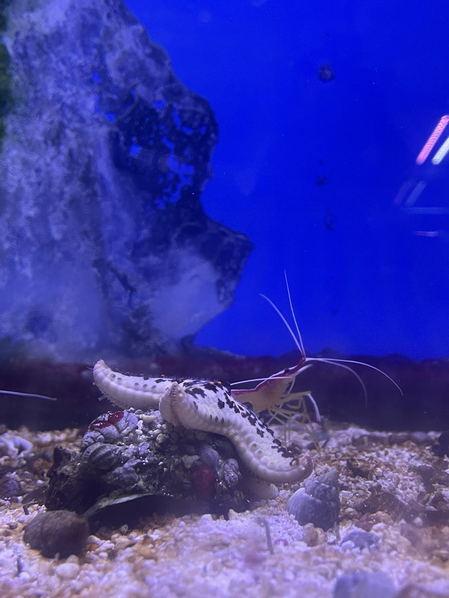 𝖘𝖚𝖒𝖒𝖊𝖗 🥀 tweet media