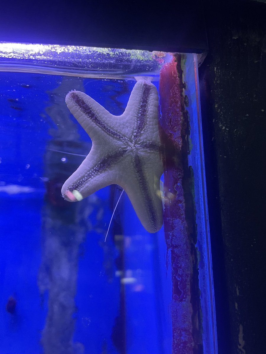 𝖘𝖚𝖒𝖒𝖊𝖗 🥀 tweet media