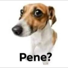 KapoZero⭐¹⁶ tweet media