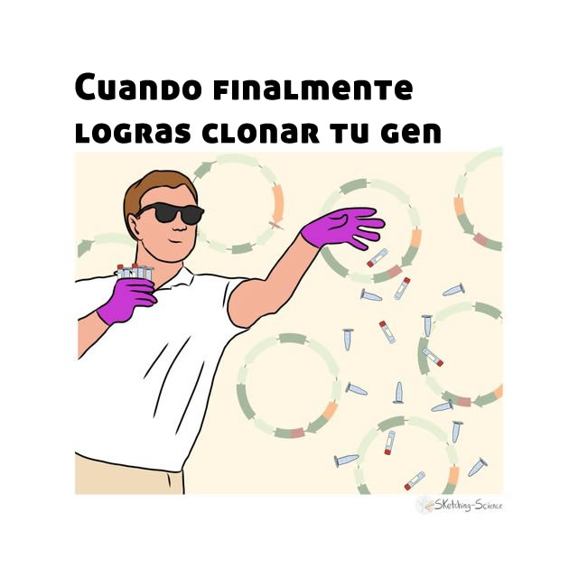 ¿Cuántos se han sentido así cuando clonan un gen? 😂😂😂   

Caricatura: <a href="/sketchscience/">Sketching Science</a>. #Humor #BiologíaCelular #BiologíaMolecular