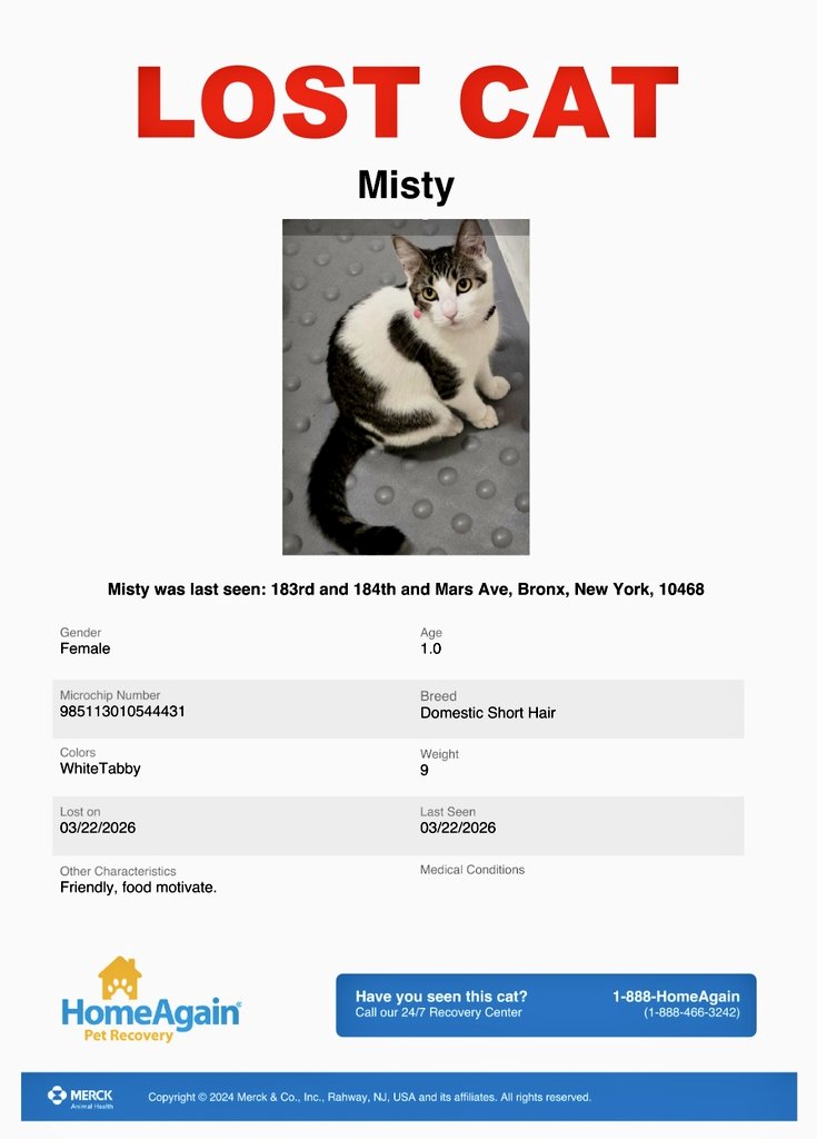 🌻Samson Cat🐱 tweet media