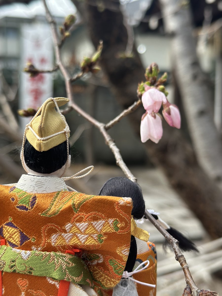 殿と姫【大橋弌峰】 tweet media