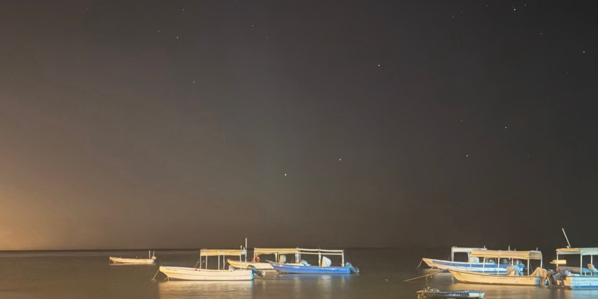 لو هم يحسون فينا ❣️