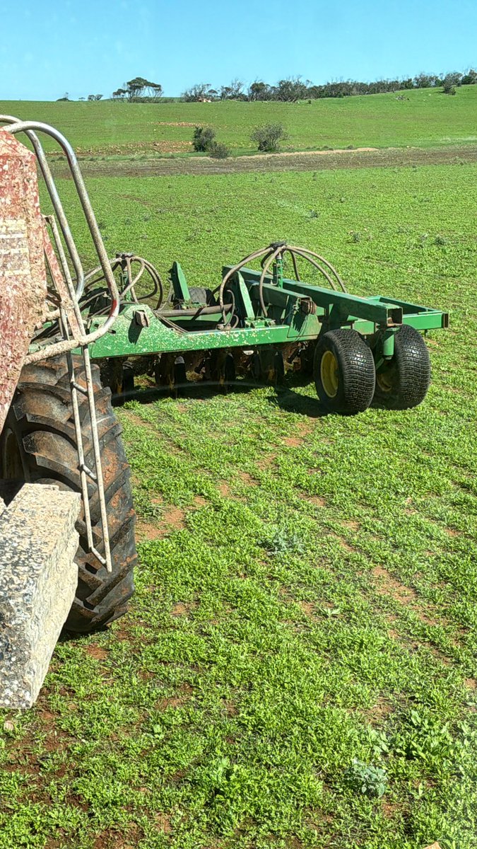 Damien Elson tweet media