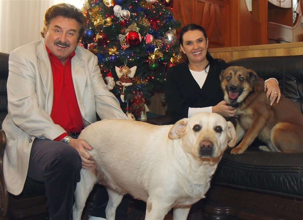 GhostVolume tweet media