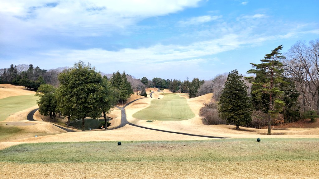 ミコ★miko★ゴルフ⛳ tweet media