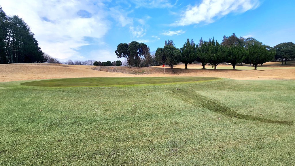 ミコ★miko★ゴルフ⛳ tweet media