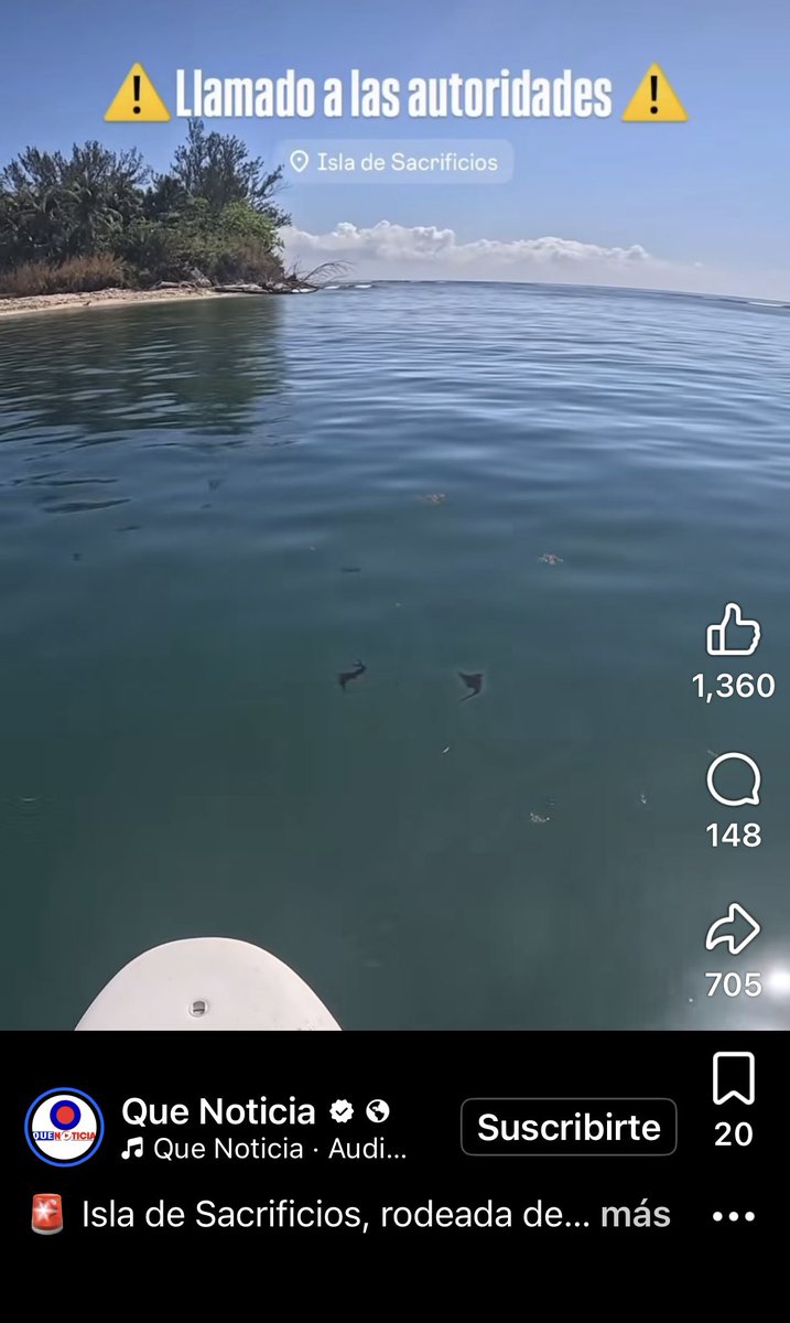 Teresa Mendoza 💜 tweet media