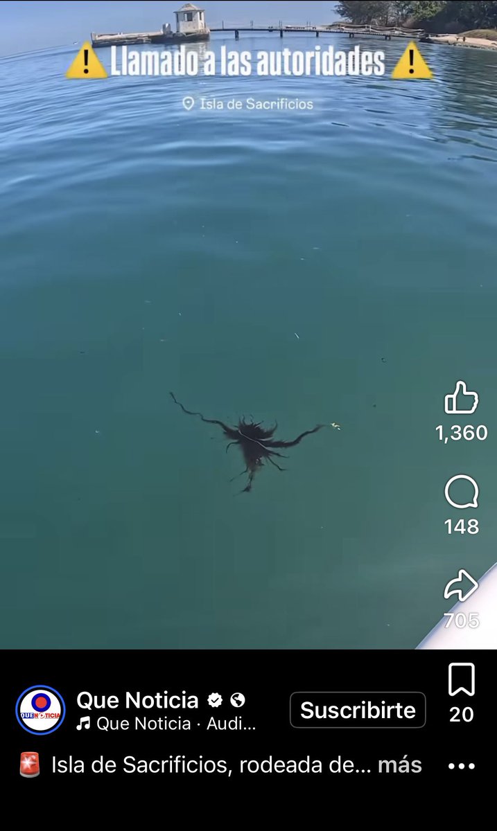 Teresa Mendoza 💜 tweet media