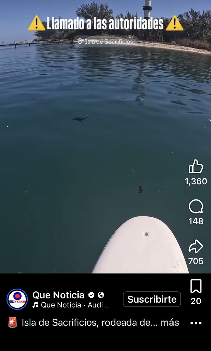 Teresa Mendoza 💜 tweet media