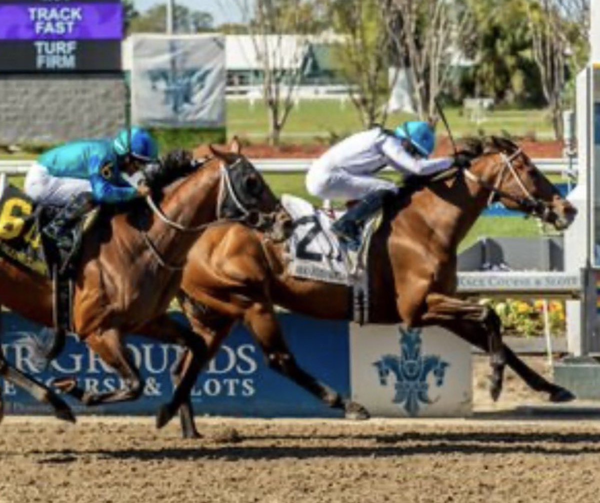 Stakes Winners 🏆 tweet media