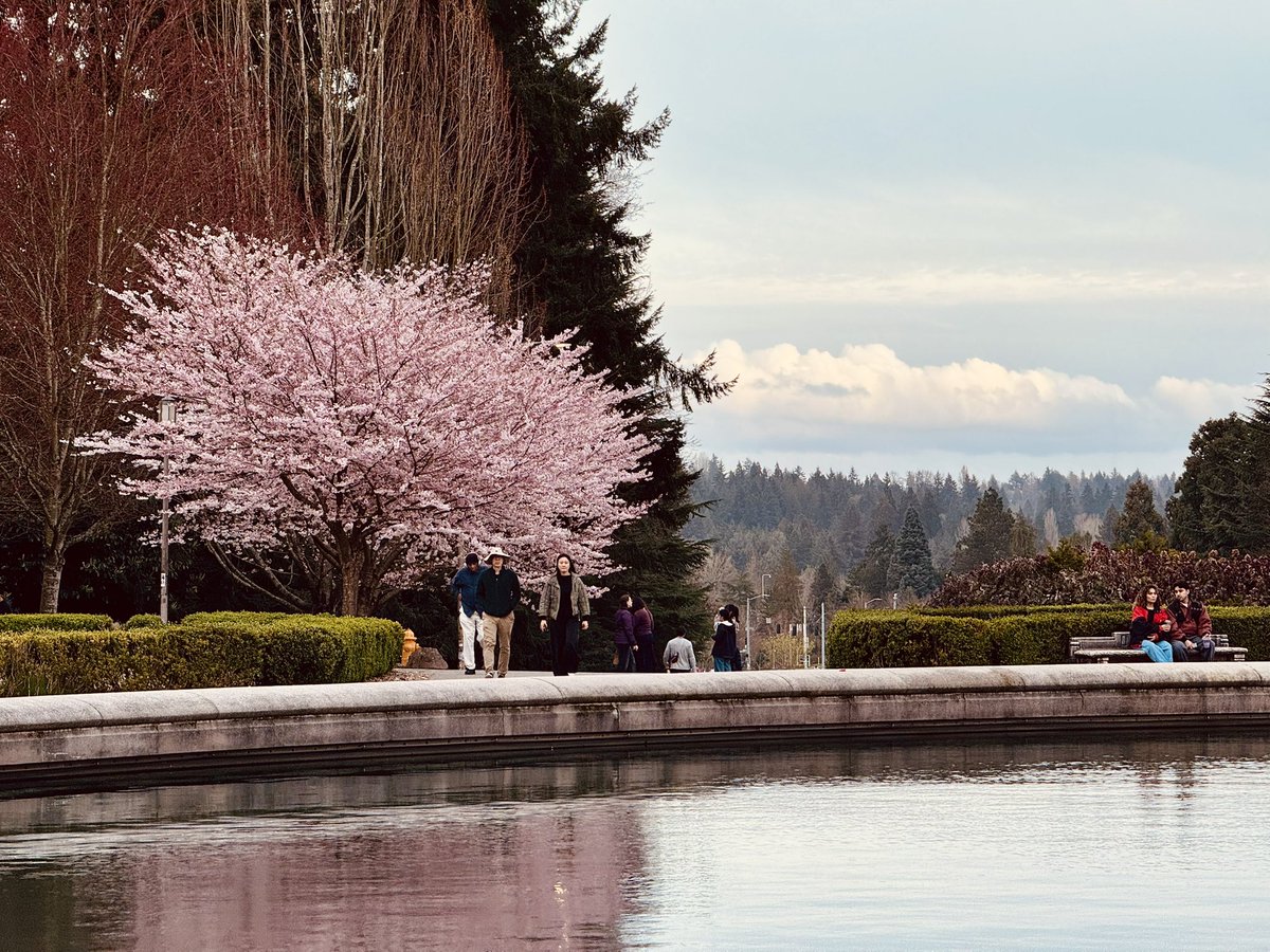 迟猫猫🐱 tweet media