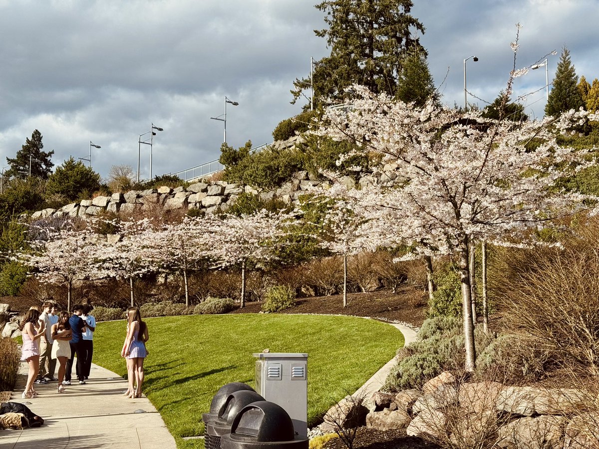 迟猫猫🐱 tweet media